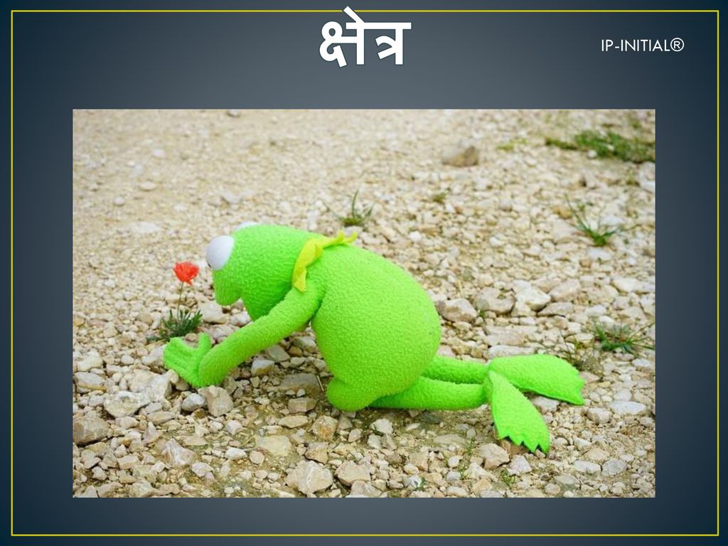 क्षेत्र IP-INITIAL®