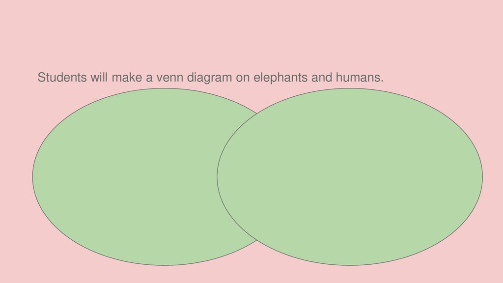 Students will make a venn diagram on elephants and humans.