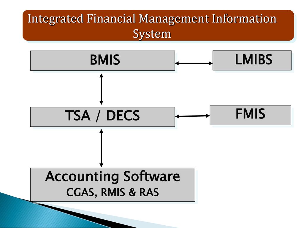 Integrated Financial Management Information System